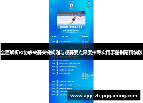 全面解析欧协联决赛关键规则与观赛要点深度指导实用手册指南精编版 全面解析欧协联决赛关键规则与观赛要点深度指导实用手册指南精编版